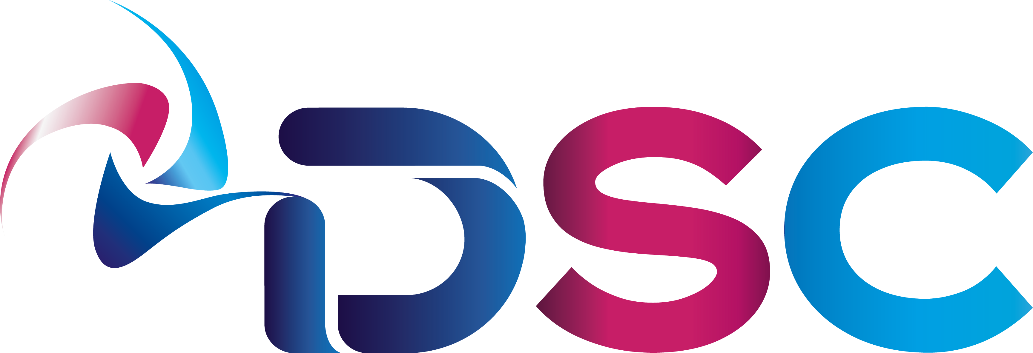 Logo DSC COLORATO